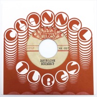 Jah Is Love (feat. Rocker-T & Channel Tubes) - Single - The Far East