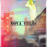 NOVA VEGAS (feat. yokaio) - Single - deviltiluka
