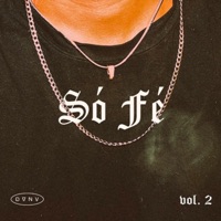 MTG SO FE E O GRELO - Single - Dj Dom