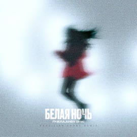 Белая ночь (Brazilian Phonk Remix) Пчела