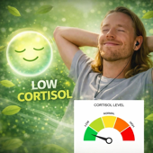 Low Cortisol (Slowed + Reverb)