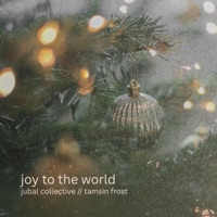 joy to the world (feat. tamsin frost) - Single - Jubal Collective