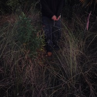 camethru - Single - $skully