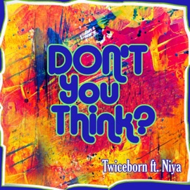 Don't You Think (feat. Niya) Twiceborn
