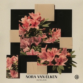 Azalea Nora Van Elken