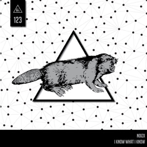 I Know What I Know - Single