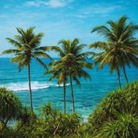 This Love (Zouk x Kompa Instrumental) - Single - FROMAYO