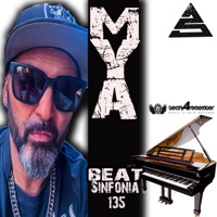 Sinfonia 135 Beat. - Single - EsseamPro