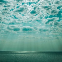 Референс - Single - Хонест