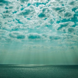 Референс Хонест