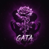 Gata - Single - Mc Igor Gv & Caluty