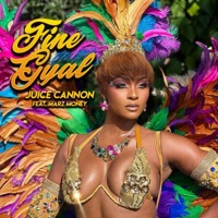 Fine Gyal Remix (feat. Marz Money) - Single - Juice Cannon