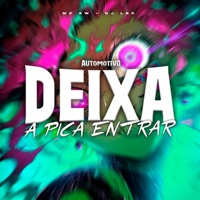 Automotivo Deixa Pica Entrar - Single - MC GW & DJ LBK