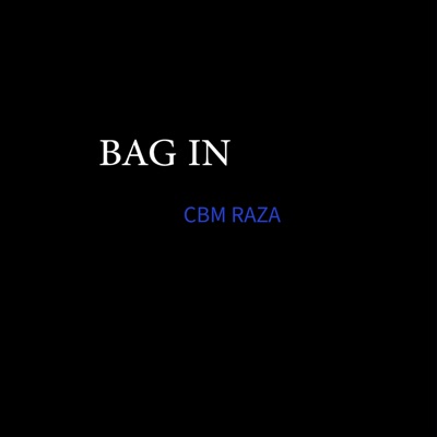 Bag In - Single