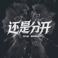 还是分开 (Rap版) - Single - Leafy Zhang & XZT