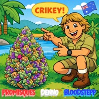 Crikey (feat. Promisques & Denno) - Single - Bloodstepp