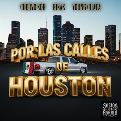 Por Las Calles De Houston (feat. Risas & Young Chapa) - Single
