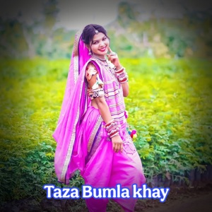 Taza Bumla Khay (feat. DJ JIGNESH)