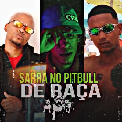 Sarra no Pitbull de Raça (feat. Studio Batida Zika) - Single