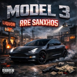 Model 3 sanxho5