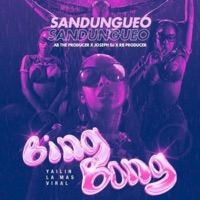 Bing Bong Sandungueo (feat. AB The Producer & Joseph Dj El Dueño Del Sistema) - Single - RB Producer