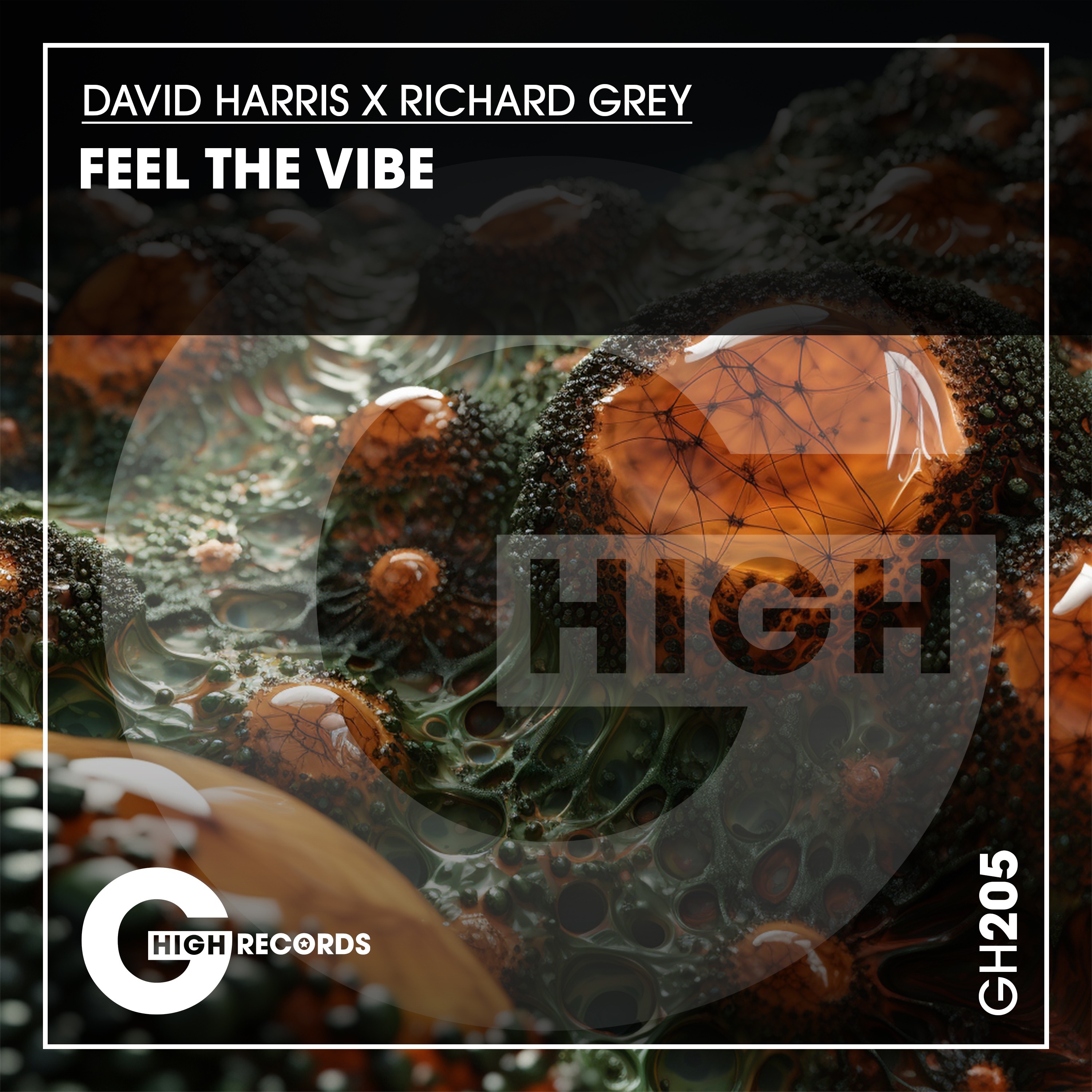 Feel the Vibe - Single