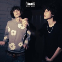 Lately (feat. WEDO & 2muxhpape) - Single - DrakeThaLowk