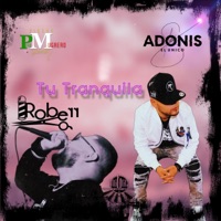 Tu Tranquila (feat. Big-E Eli & Adonis El Unico) - Single - Roberr