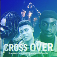 Cross Over (Cover) [feat. Tygapolter, EDU & K.I.V] - Single - Bravadoic