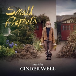 THE WISE MAN'S SONG cover art