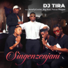 Singenzenjani (feat. Amatycooler, Big Nuz & Focus Magazi) - DJ Tira