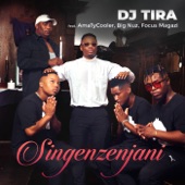 Singenzenjani (feat. Amatycooler, Big Nuz & Focus Magazi) artwork