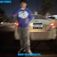 Night Drive (FREESTYLE) - Single - LOE Pookie
