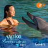 Neuanfänge - Teil 1 - Mako - Einfach Meerjungfrau