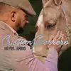 Mi fiel amigo