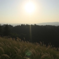 Last Summer - Single - Snowify