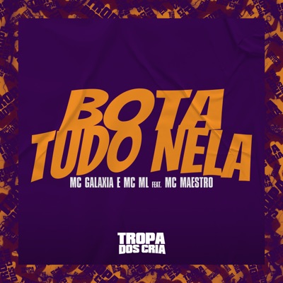 Bota Tudo Nela (feat. MC MAESTRO) - Single