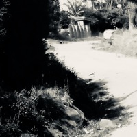 I Like That (Live Version) - Single - George William Muiri, GEOXwill & GEOX the Producer