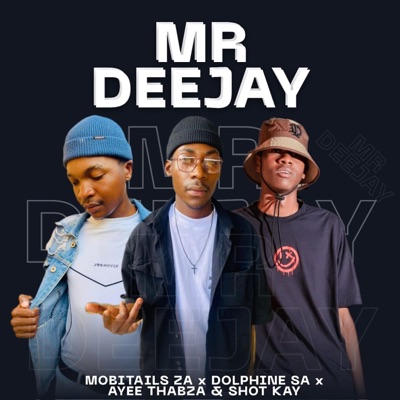 Mr_Deejay_OfficialHit. (feat. Dolphine sa, Ayee Thabza & Shotkayy) - Single