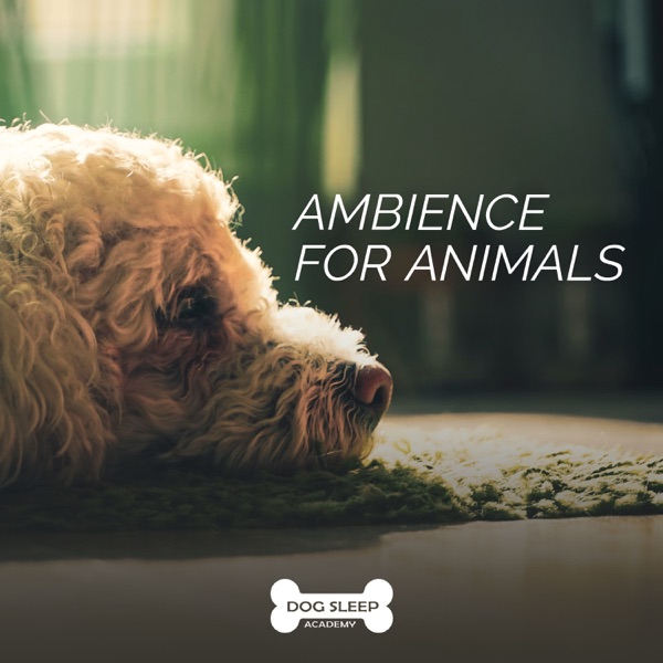 Ambience for Animals