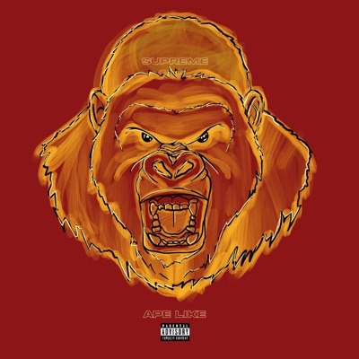 Knuckledraggin - Single