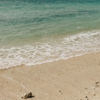 Swell - Single - Hitori