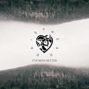 I've Been Better - Single