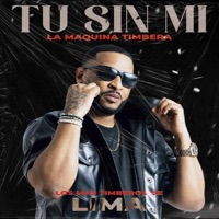Tu Sin Mi
