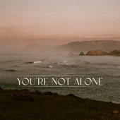 You're Not Alone (Alternate Versions) - EP artwork