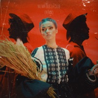 NU MA DUC LA CLUB (feat. Speak & Deny) [Remix] - Single - Theo Rose, Alessandra & DOMINO