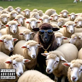 B7ack Sheep (feat. ATM Skrill & Yung Fairrow) Mr. Take a F7ick