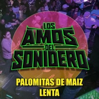 PALOMITAS DE MAÍZ (Versión Lenta) - Single - Los Amos Del Sonidero