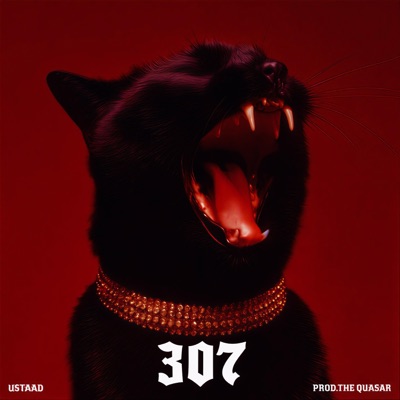 307 (feat. Ustaad) - Single