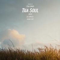 Tha Soul (feat. Lil Kimchi, Drem & Sugar Colt) - Single - Last of the Nobodies & Fish Bwoi